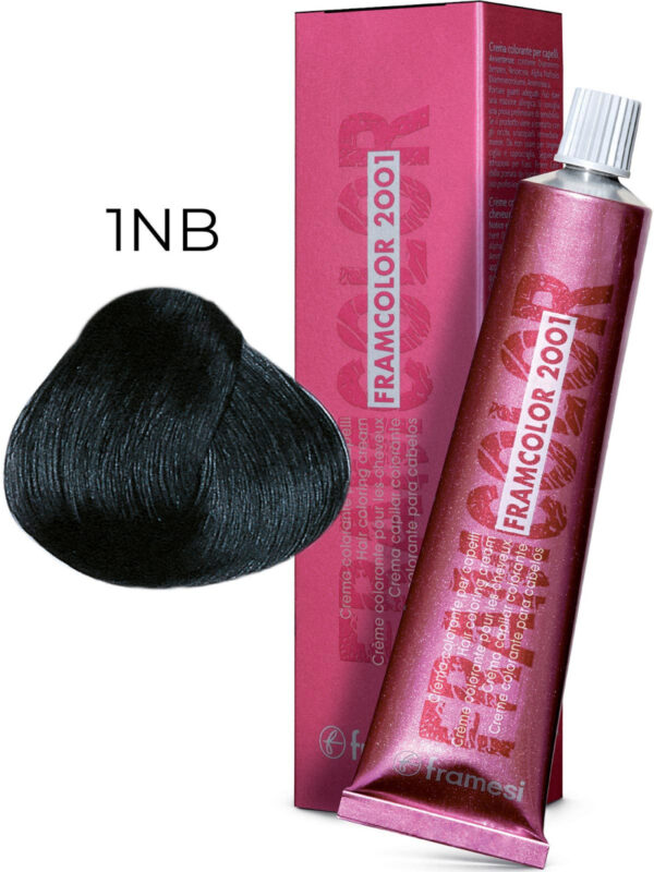 Стійка фарба для волосся Framcolor 2001 1/NB