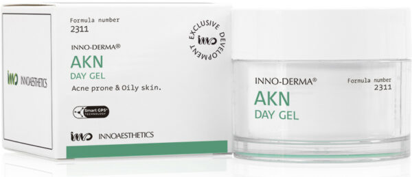 Гель-крем для жирної шкіри AKN Day Gel